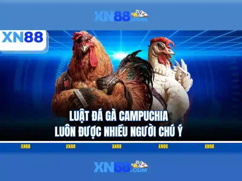 Khám phá thông tin chi tiết quá trình truy cập
