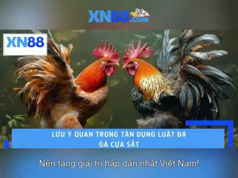 Xác thực tài khoản nhanh qua email hoặc điện thoại